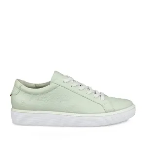 ECCO Women's Soft 7 Limited Edition in Matcha