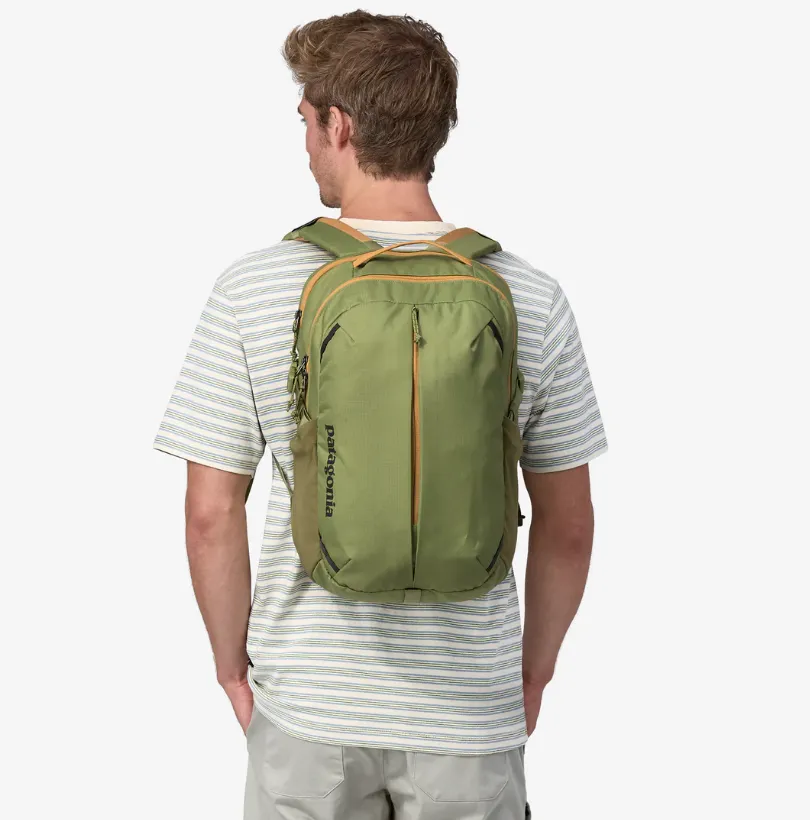 Patagonia Refugio Day Pack 26L Buckhorn Green