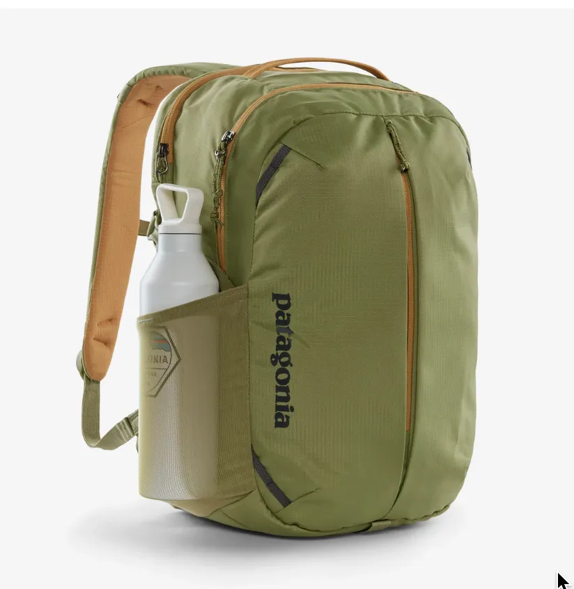 Patagonia Refugio Day Pack 26L Buckhorn Green